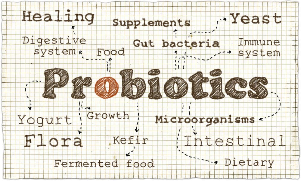 Probiotics .jpg